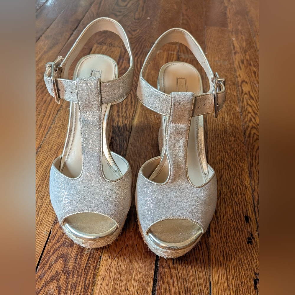 Women's Metallic T-Strap Platform Sandals - Silver /Antonio Melani